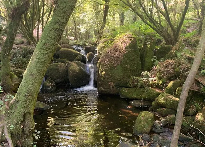 Riomar * Рибадумия